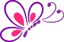 butterfly-896668_960_720.png
